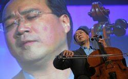 meme violino.